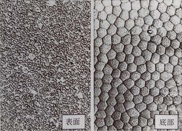 鋁型材表面生成的陽(yáng)極氧化膜的表面和底部 鋁型材表面生成的陽(yáng)極氧化膜的表面和底部